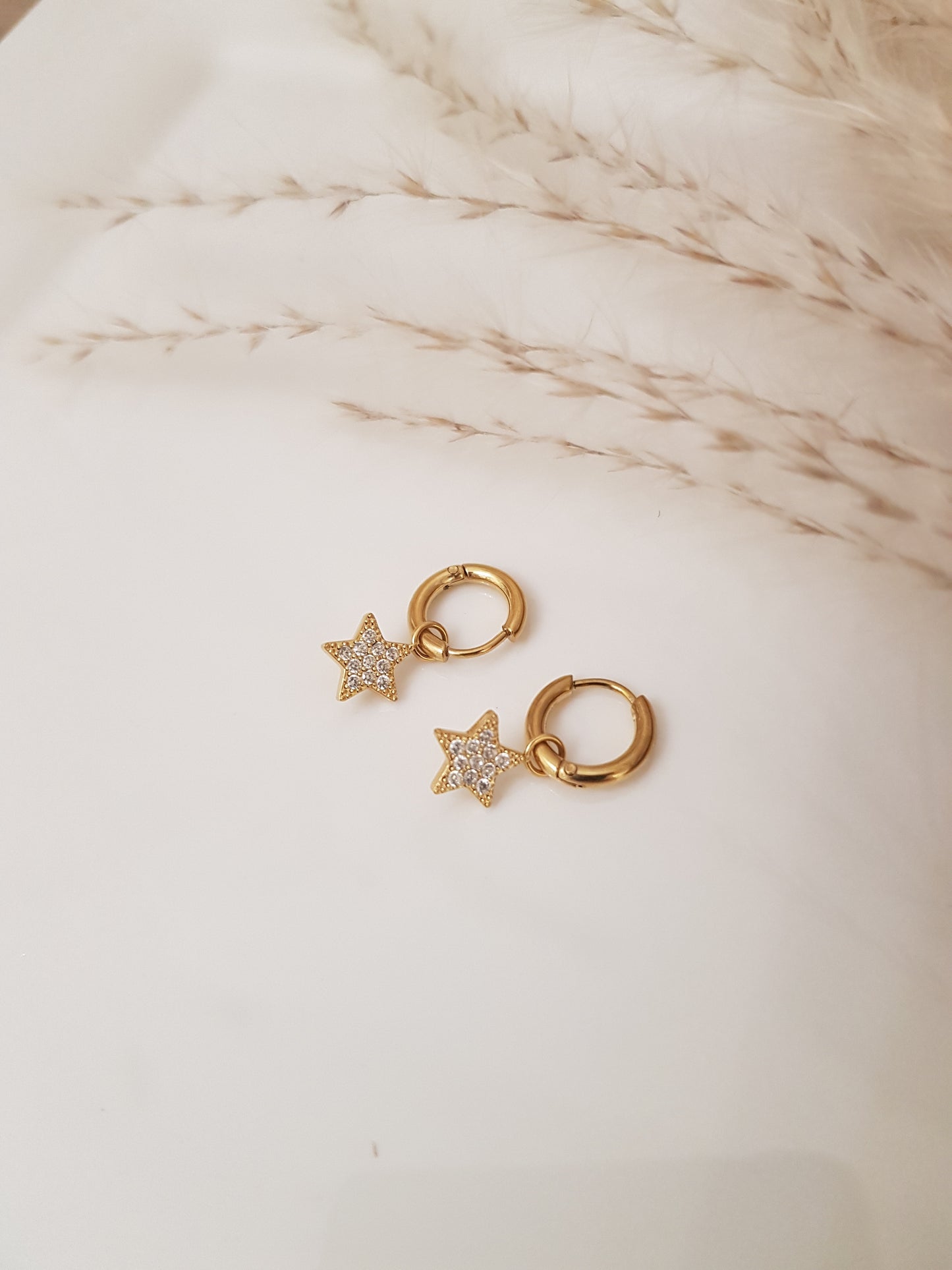 Boucles d'oreilles elixi