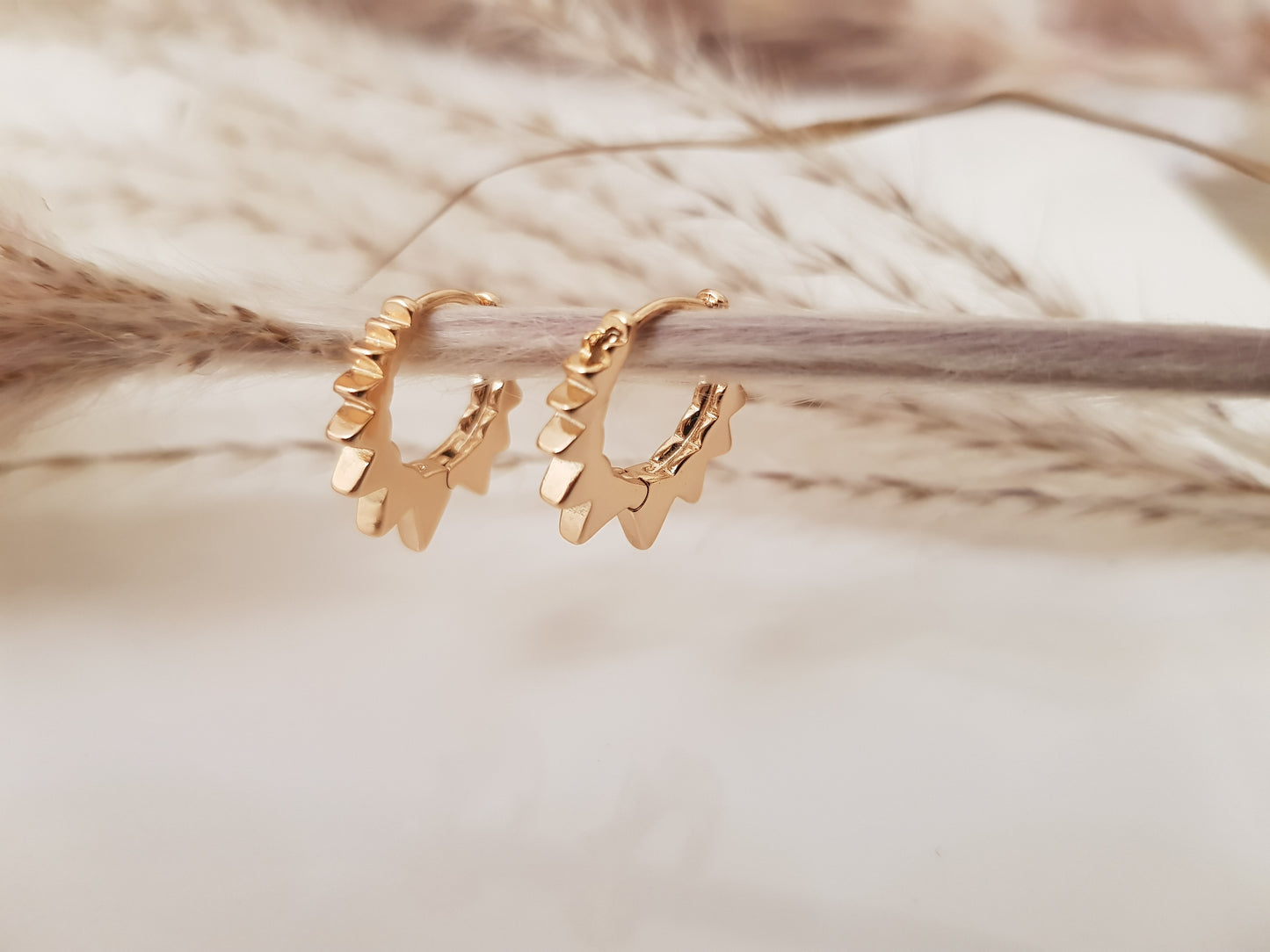Boucles d'oreilles crose